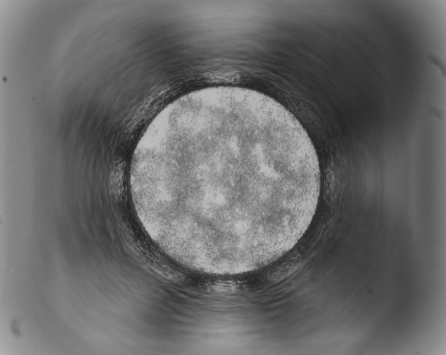 X0000103490600200810241103
