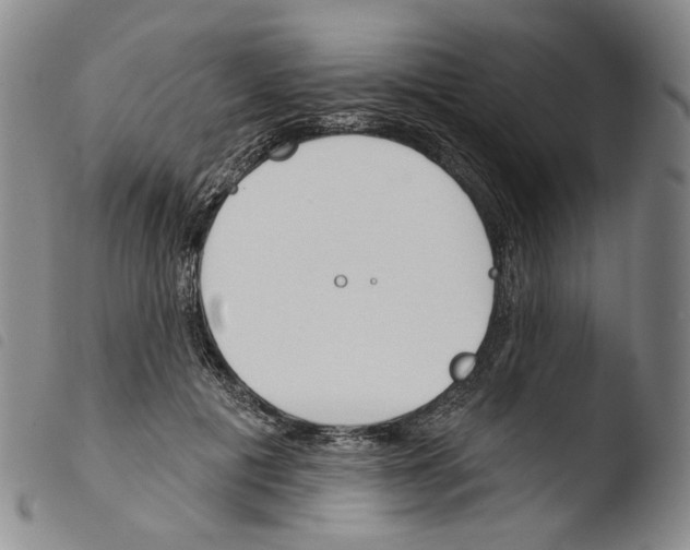 X0000103490601200810241103