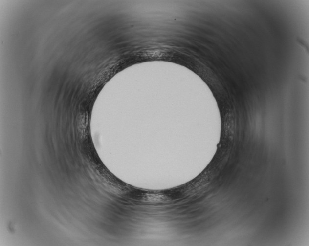 X0000103490605200810241103