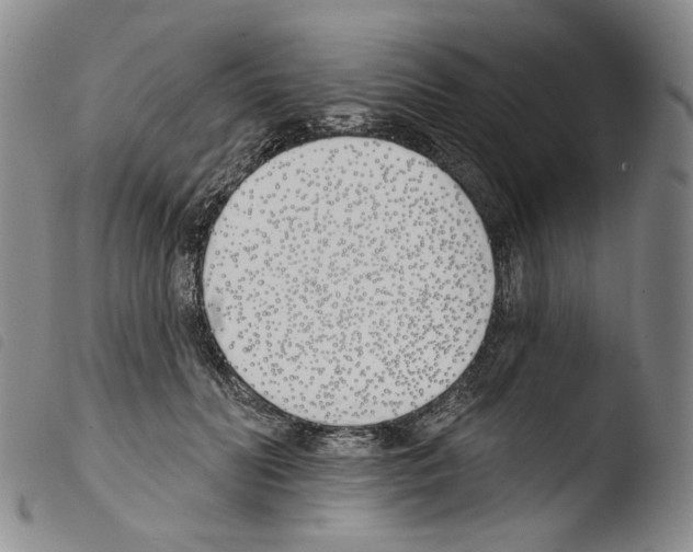 X0000103490606200810241103