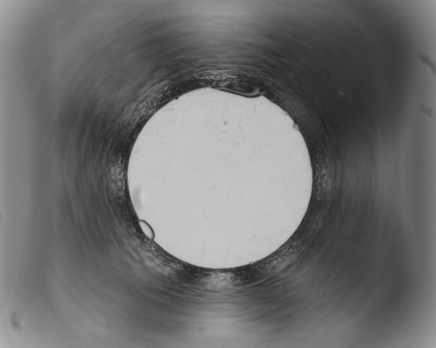 X0000103490609200810241103