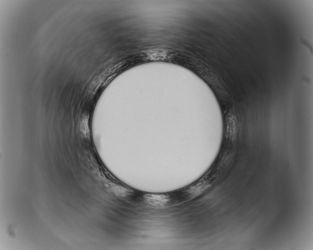 X0000103490610200810241103