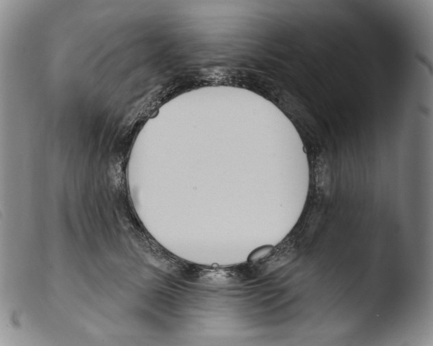 X0000103490611200810241103