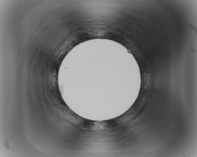 X0000103490612200810241103