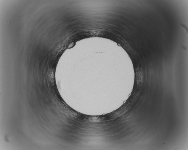 X0000103490613200810241103