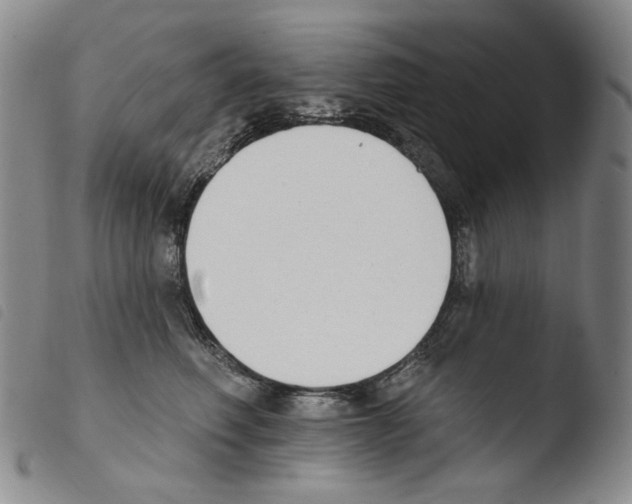 X0000103490614200810241103