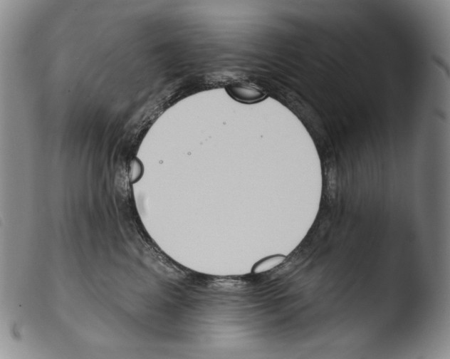 X0000103490617200810241103