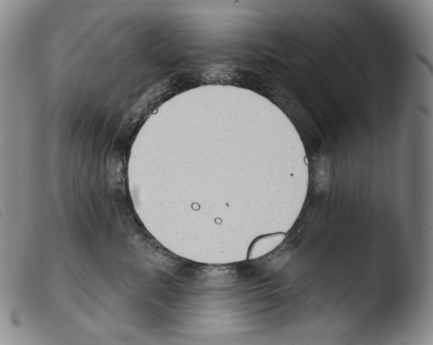 X0000103490619200810241103
