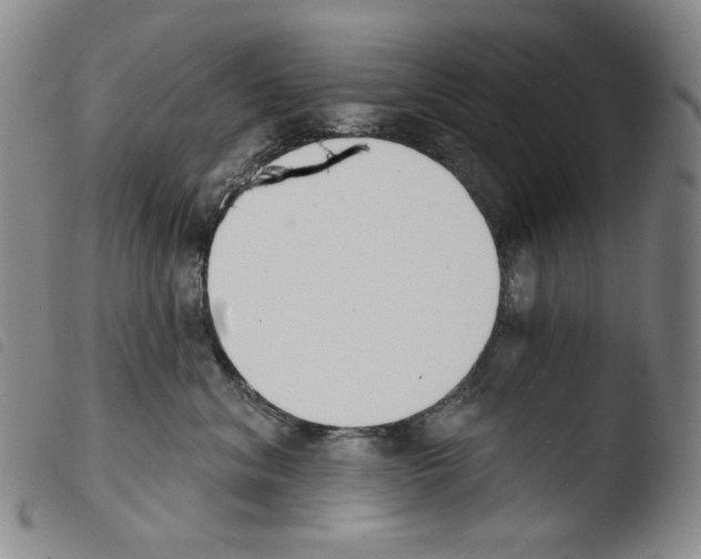 X0000103490620200810241103