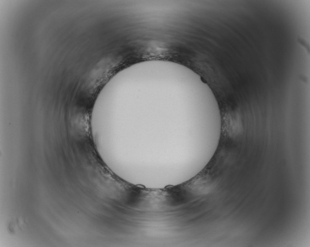 X0000103490621200810241103