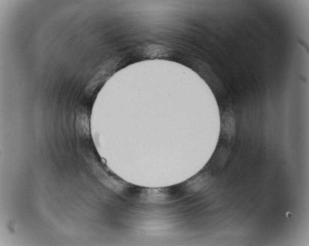 X0000103490622200810241103