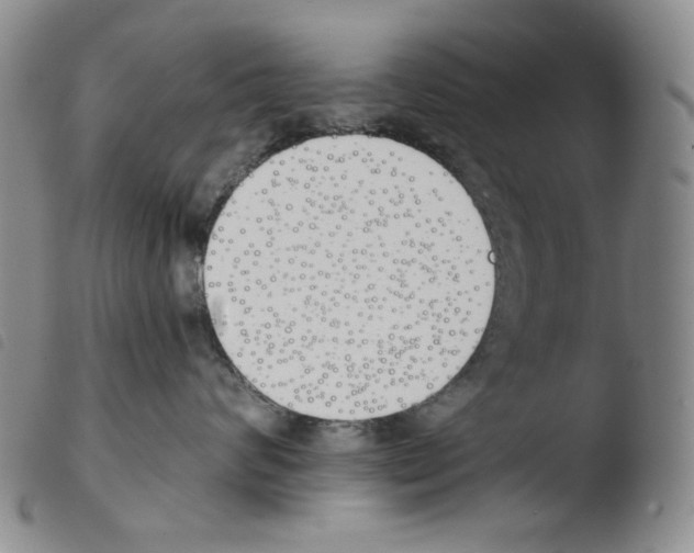 X0000103490624200810241103