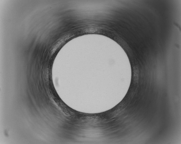 X0000103490626200810241102