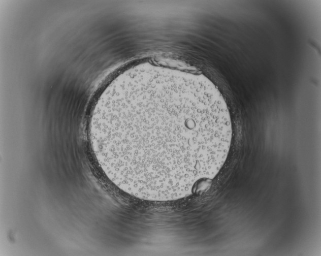 X0000103490628200810241102