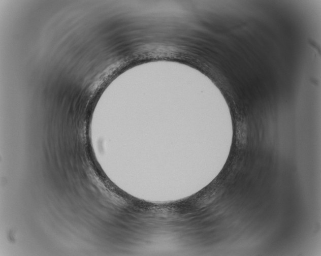 X0000103490629200810241102