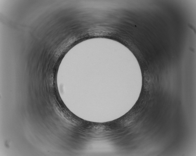 X0000103490631200810241102