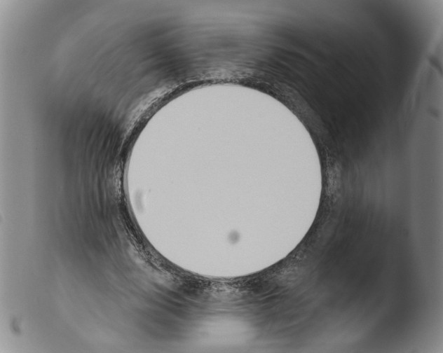 X0000103490632200810241102