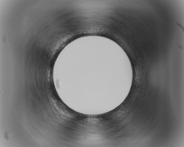 X0000103490636200810241102