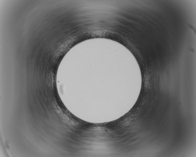 X0000103490637200810241102