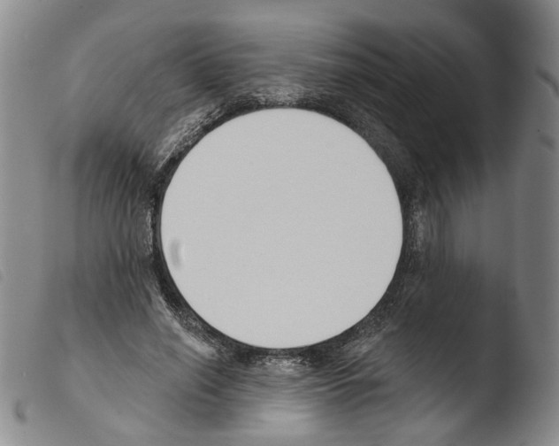 X0000103490638200810241102