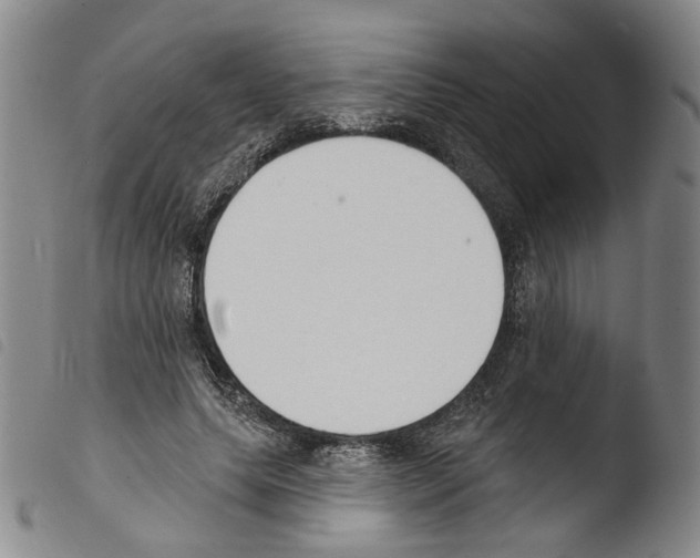X0000103490639200810241102