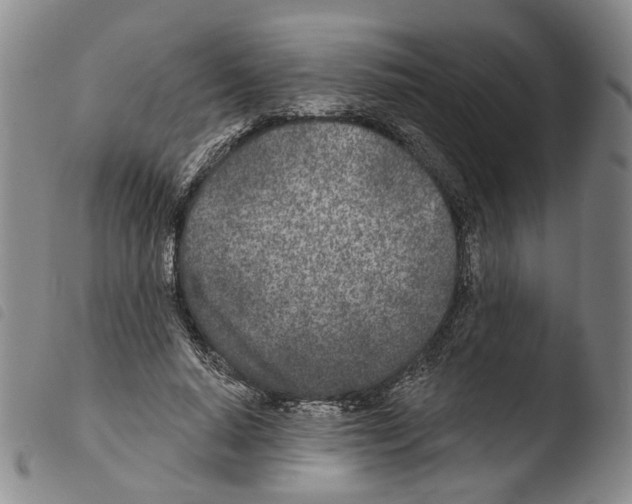 X0000103490640200810241102