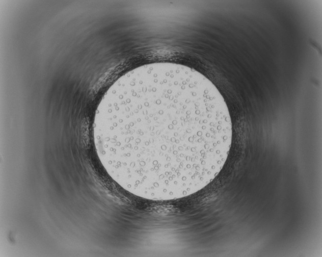 X0000103490642200810241102