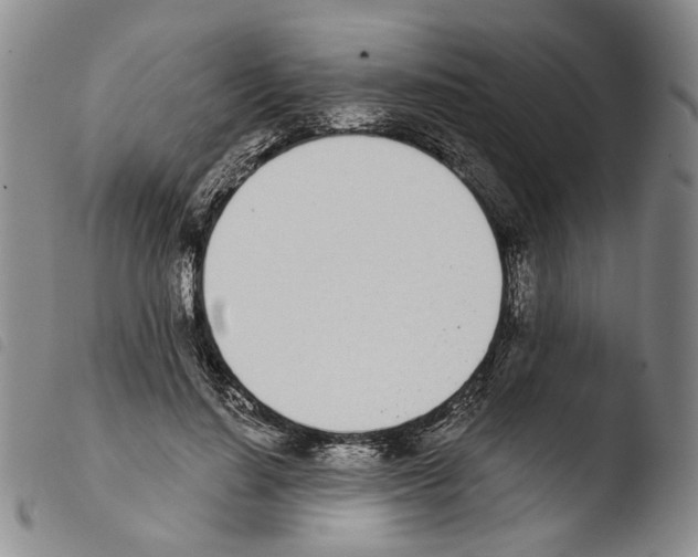X0000103490644200810241102