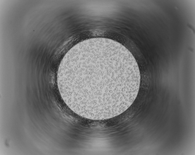 X0000103490648200810241102