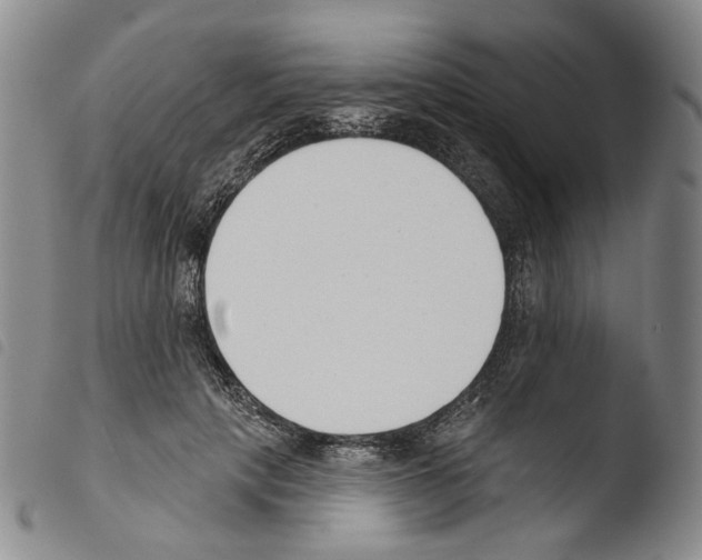 X0000103490649200810241102