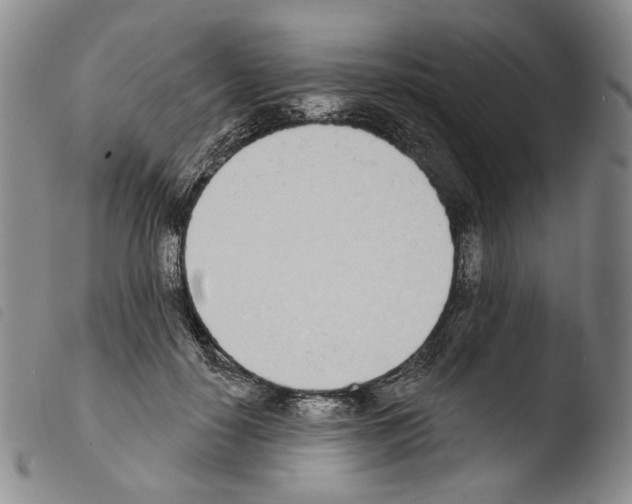 X0000103490650200810241102
