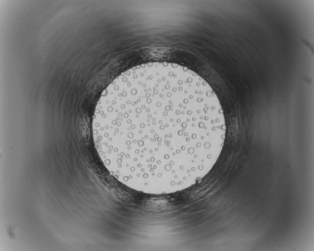 X0000103490651200810241102