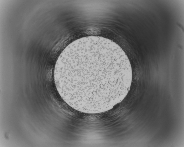 X0000103490652200810241102