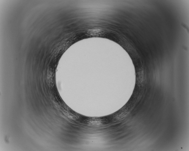 X0000103490653200810241102