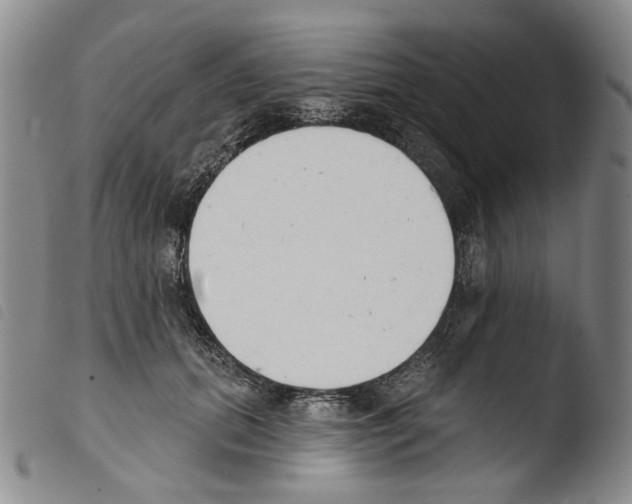 X0000103490655200810241102