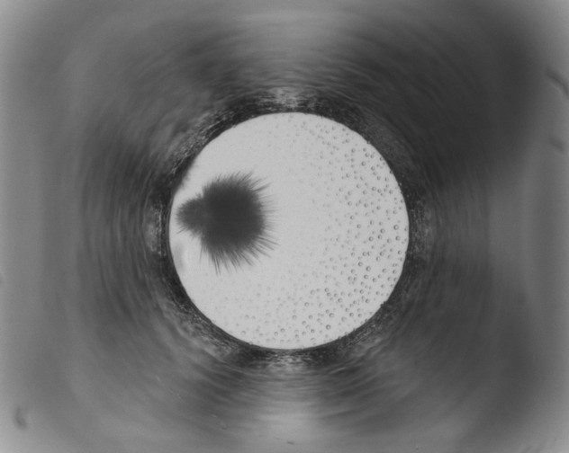 X0000103490656200810241102