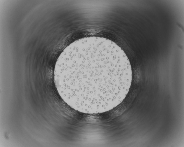 X0000103490657200810241102