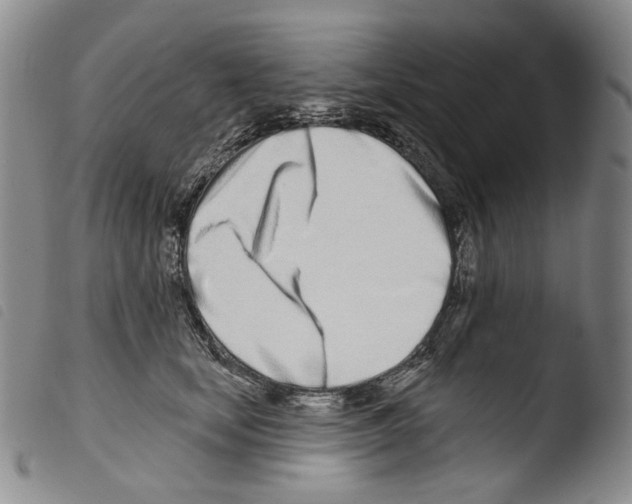 X0000103490659200810241102