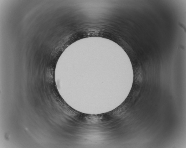 X0000103490661200810241102