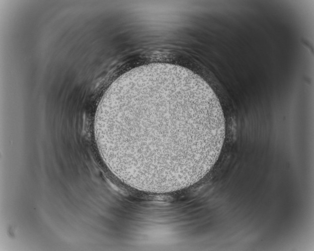 X0000103490663200810241102