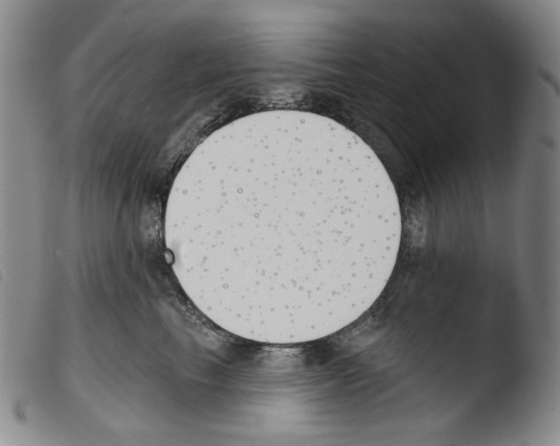 X0000103490665200810241102