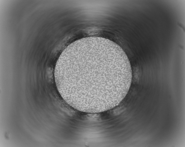 X0000103490667200810241103