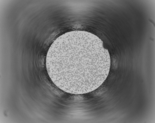X0000103490668200810241103