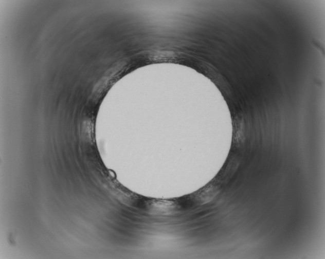 X0000103490669200810241103