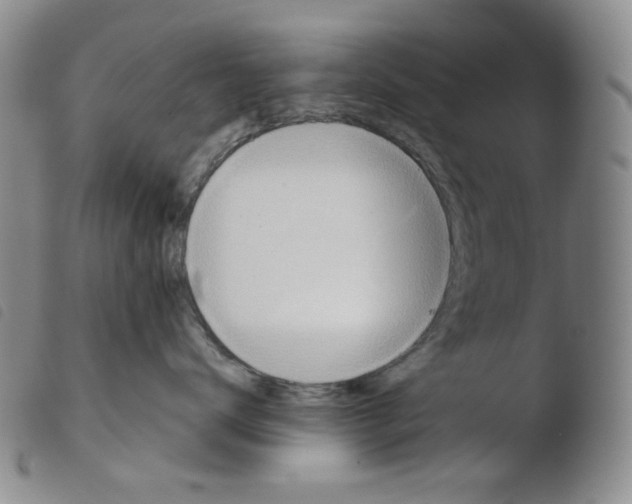 X0000103490672200810241103