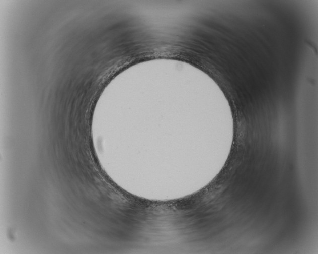 X0000103490673200810241102