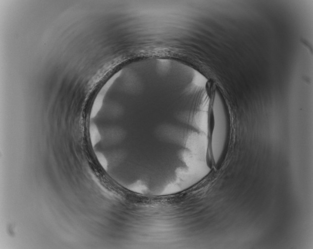 X0000103490674200810241102