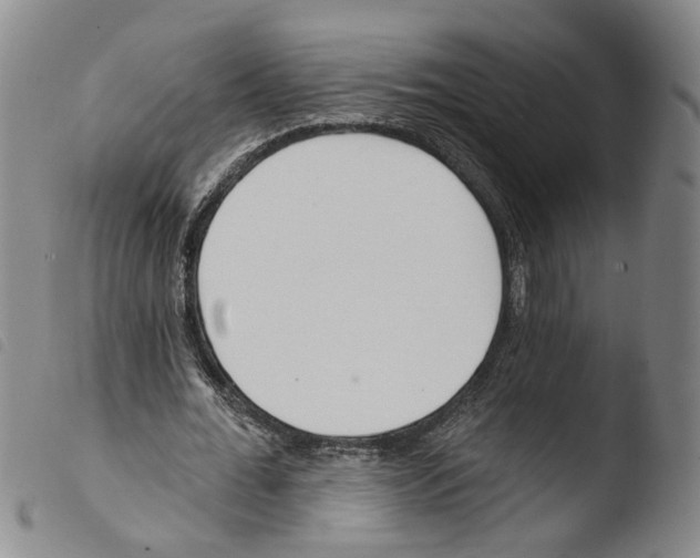 X0000103490676200810241102