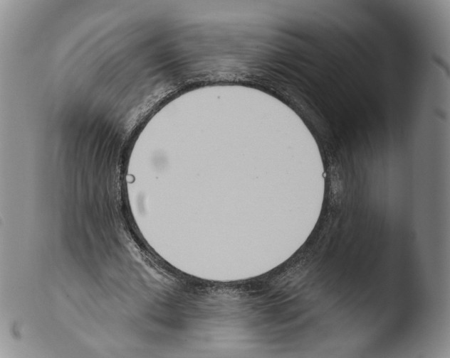 X0000103490677200810241102