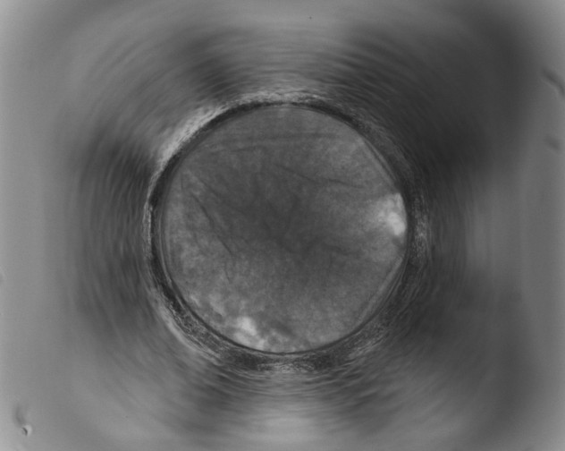 X0000103490678200810241102